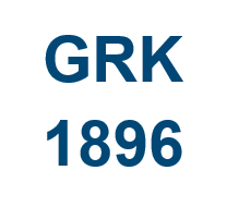 Towards entry "Open Position in GRK1896 Project B6"