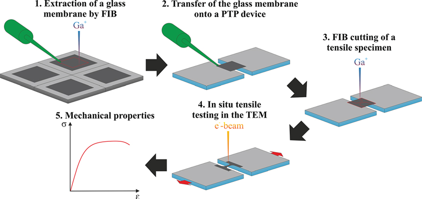 Towards entry "A novel approach enables in situ tensile testing of nanoscale silica glass in the TEM!"
