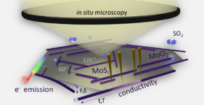 Towards entry "In situ microscopy – a key to unravel growth and functional properties of nanowires"