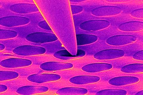 Towards entry "Development of a novel method for in situ cleaning of 2D-materials lead by GRK members"