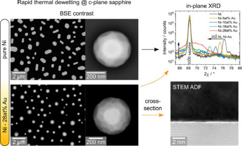 Towards entry "Structure and properties of supersaturated Ni-Au nanoparticles revealed by GRK researchers"